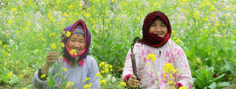 Vietnam du Nord au Sud