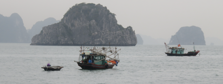 Vietnam du Nord au Sud