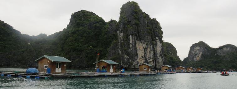 Vietnam du Nord au Sud