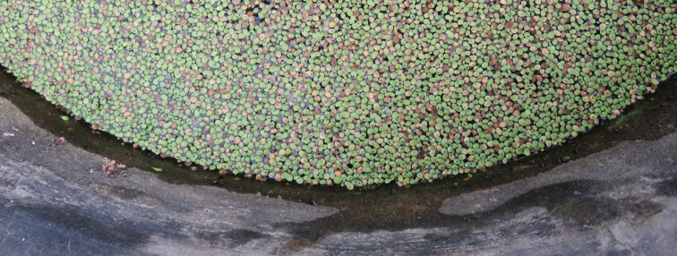 Vietnam du Nord au Sud