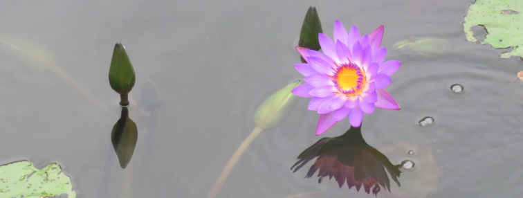 Vietnam du Nord au Sud