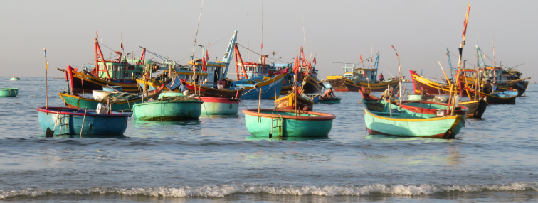 Vietnam du Nord au Sud