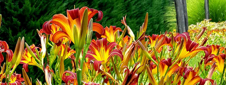 Hommage aux Origines