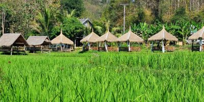 Cambodge et Laos — étape 11 : Luang Prabang