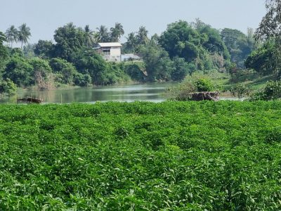 Cambodge et Laos — étape 3 : Battambang