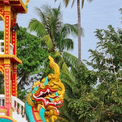 Cambodge et Laos — étape 7 : Laos -> Don Det