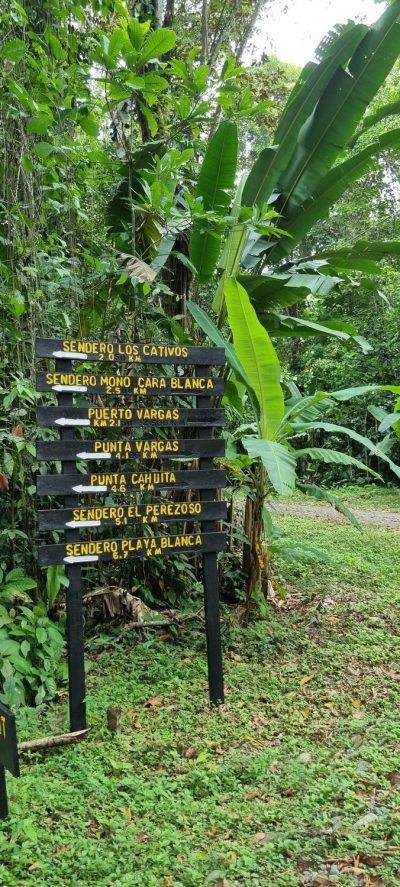 Costa Rica - Pura Vida ! — étape 1 : San Jose > Cahuita