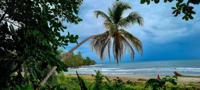 Costa Rica - Pura Vida ! — étape 1 : San Jose > Cahuita