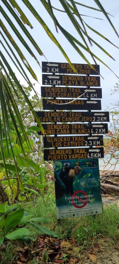Costa Rica - Pura Vida ! — étape 1 : San Jose > Cahuita