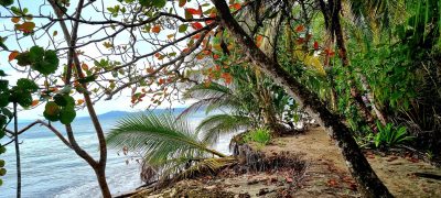 Costa Rica - Pura Vida ! — étape 1 : San Jose > Cahuita
