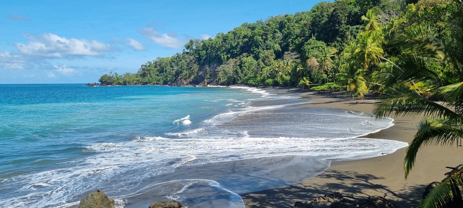 Costa Rica - Pura Vida ! — étape 10 : Corcovado (Drake Bay)