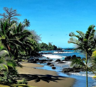 Costa Rica - Pura Vida ! — étape 10 : Corcovado (Drake Bay)