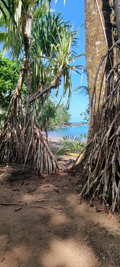Costa Rica - Pura Vida ! — étape 10 : Corcovado (Drake Bay)