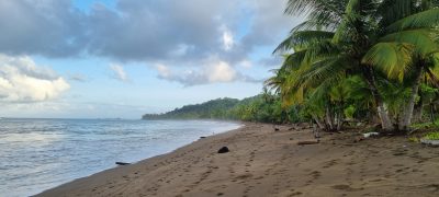 Costa Rica - Pura Vida ! — étape 10 : Corcovado (Drake Bay)
