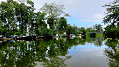 Costa Rica - Pura Vida ! — étape 2 : Cahuita > Tortuguero