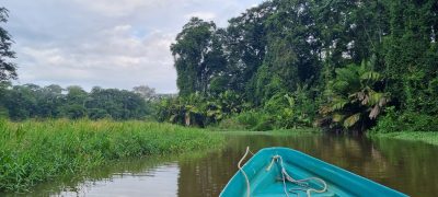 Costa Rica - Pura Vida ! — étape 2 : Cahuita > Tortuguero