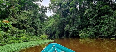 Costa Rica - Pura Vida ! — étape 2 : Cahuita > Tortuguero