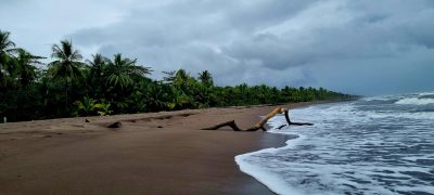 Costa Rica - Pura Vida ! — étape 2 : Cahuita > Tortuguero
