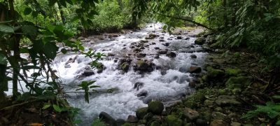 Costa Rica - Pura Vida ! — étape 3 : Tortuguero > La Fortuna