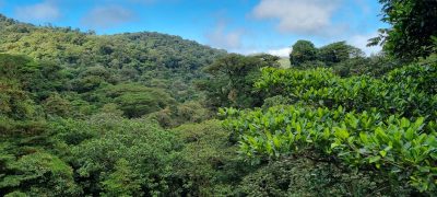 Costa Rica - Pura Vida ! — étape 5 : Monteverde