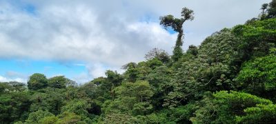 Costa Rica - Pura Vida ! — étape 5 : Monteverde