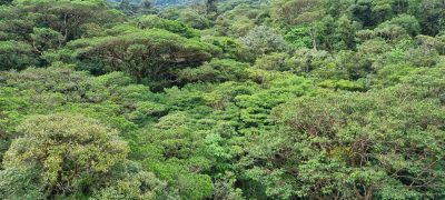 Costa Rica - Pura Vida ! — étape 5 : Monteverde