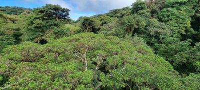 Costa Rica - Pura Vida ! — étape 5 : Monteverde