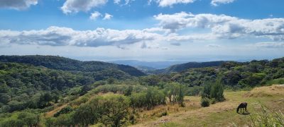 Costa Rica - Pura Vida ! — étape 5 : Monteverde