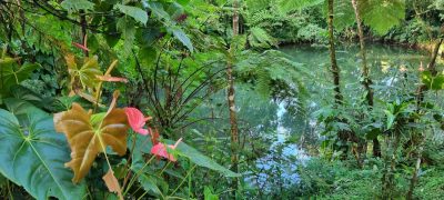 Costa Rica - Pura Vida ! — étape 6 : Monteverde > Colonia Blanca (Alajuela)