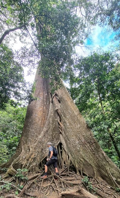 Costa Rica - Pura Vida ! — étape 6 : Monteverde > Colonia Blanca (Alajuela)