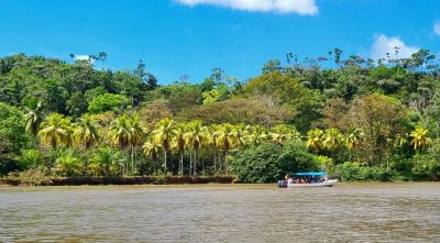 Costa Rica - Pura Vida ! — étape 9 : Quepos > Sierpe > Corcovado