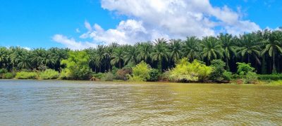 Costa Rica - Pura Vida ! — étape 9 : Quepos > Sierpe > Corcovado