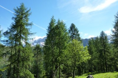 Les Dolomites de Brenta — étape 3 : en route vers le refuge Graffer