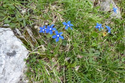 Les Dolomites de Brenta — étape 3 : en route vers le refuge Graffer