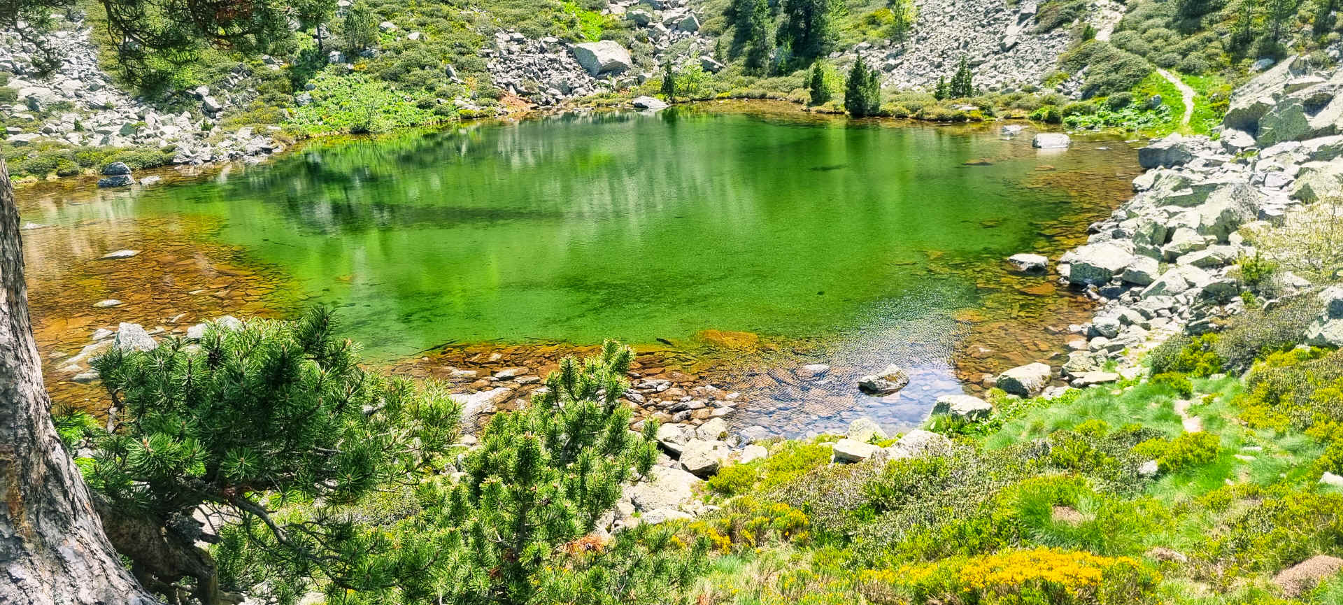Refuge de Ruhle - Refuge des Bésines