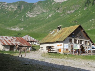 Alpes Gr 5 Nord - Leman Modane — étape 1 : St-Gingolph - Chalets de Bise