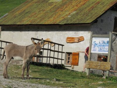 Alpes Gr 5 Nord - Leman Modane — étape 1 : St-Gingolph - Chalets de Bise