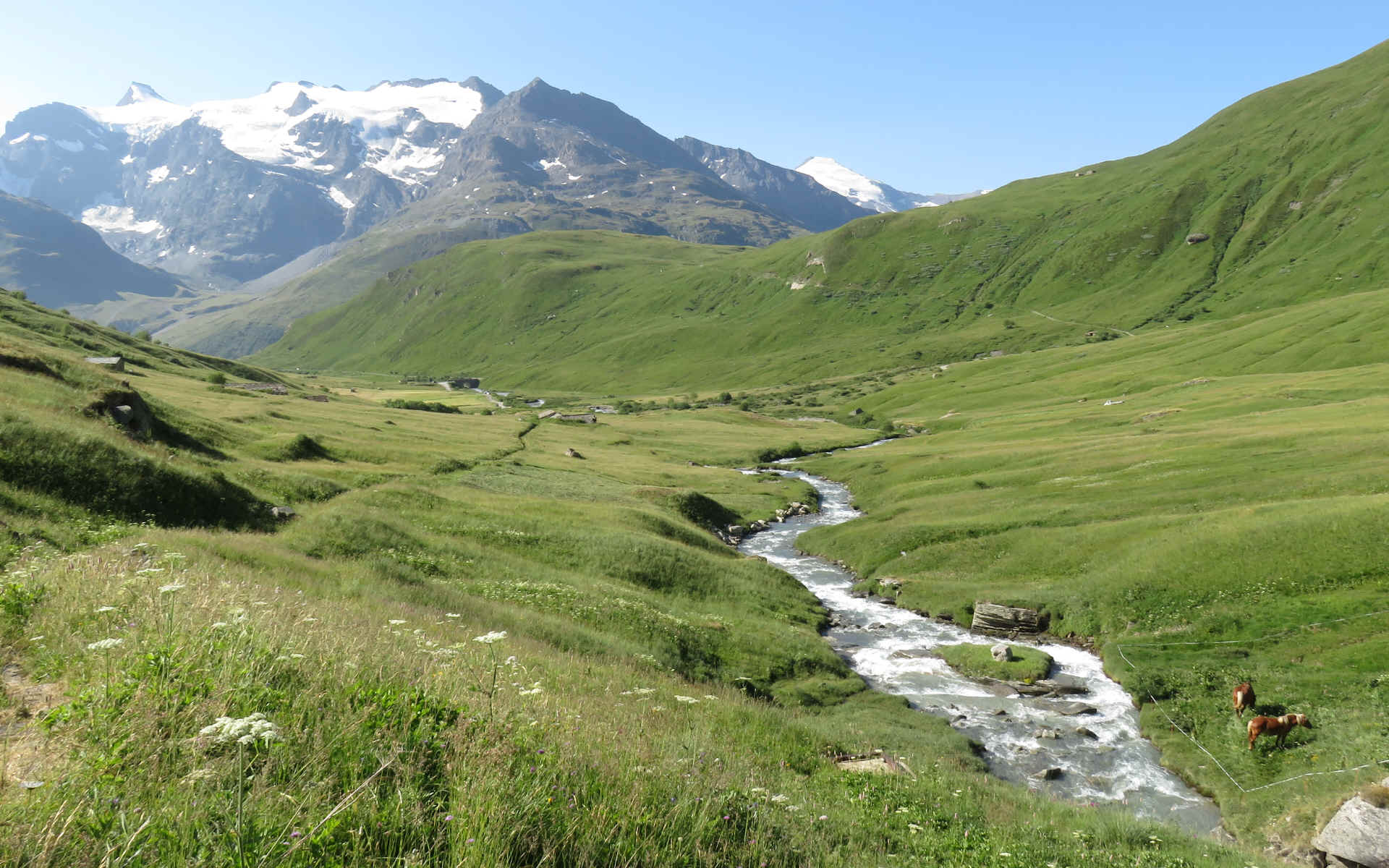 Alpes Gr 5 Nord - Leman Modane — étape 12 : Iseran - Bessans