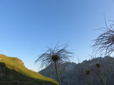 Alpes Gr 5 Nord - Leman Modane — étape 12 : Iseran - Bessans