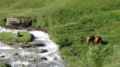 Alpes Gr 5 Nord - Leman Modane — étape 12 : Iseran - Bessans