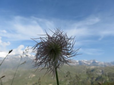 Alpes Gr 5 Nord - Leman Modane — étape 14 : Cuchet - Porte de plan du lac