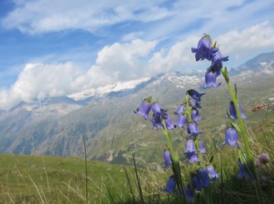Alpes Gr 5 Nord - Leman Modane — étape 14 : Cuchet - Porte de plan du lac