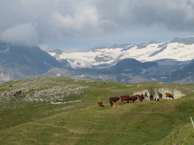 Alpes Gr 5 Nord - Leman Modane — étape 14 : Cuchet - Porte de plan du lac