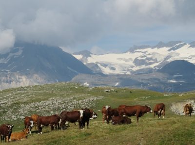 Alpes Gr 5 Nord - Leman Modane — étape 14 : Cuchet - Porte de plan du lac