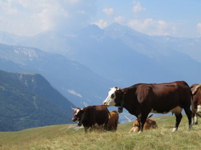 Alpes Gr 5 Nord - Leman Modane — étape 14 : Cuchet - Porte de plan du lac