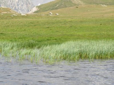 Alpes Gr 5 Nord - Leman Modane — étape 14 : Cuchet - Porte de plan du lac