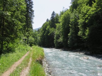 Alpes Gr 5 Nord - Leman Modane — étape 5 : Golese - Salvagny