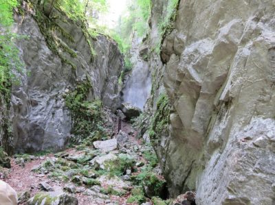 Alpes Gr 5 Nord - Leman Modane — étape 5 : Golese - Salvagny