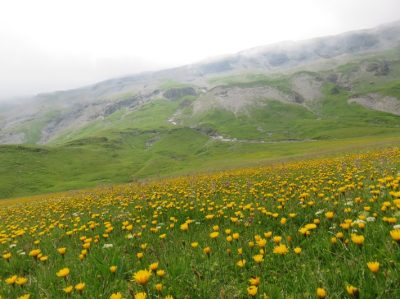 Alpes Gr 5 Nord - Leman Modane — étape 6 : Salvagny - Moede Anterne