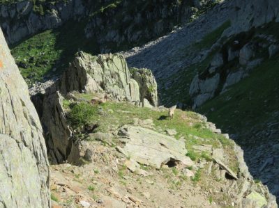 Alpes Gr 5 Nord - Leman Modane — étape 7 : Moede Anterne - Chamonix